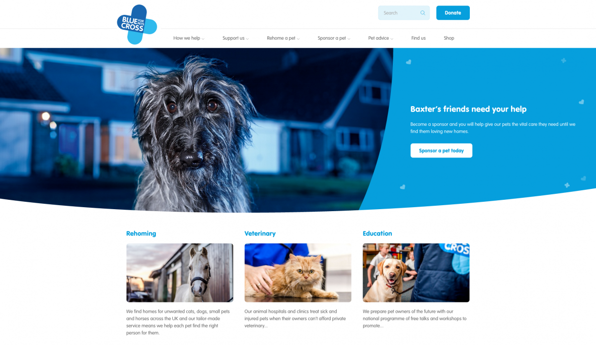 Dog best sale donation website