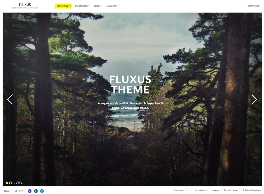 Wordpress Theme for Artists, Photographers and Painters