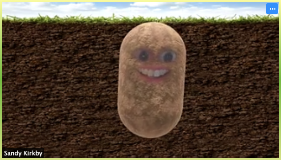 Potato avatar on Zoom